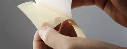 离型纸